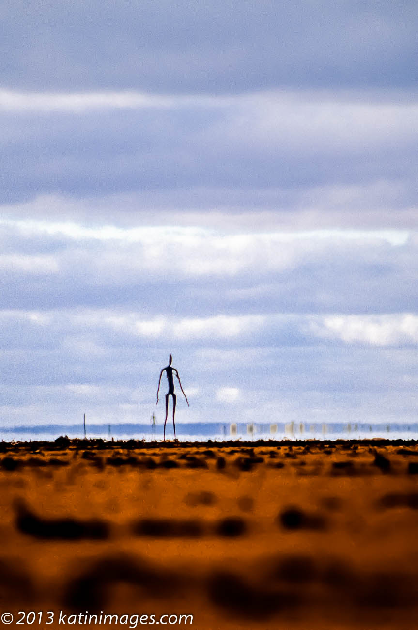 Antony Gormley Sculptures on Lake Ballard, 200km north of Kalgoorlie in Western Australia