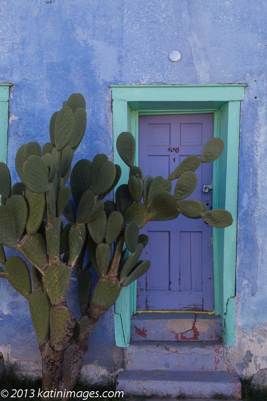 Cactus and door in the Presido historic district, Tucson, Arizona, USA