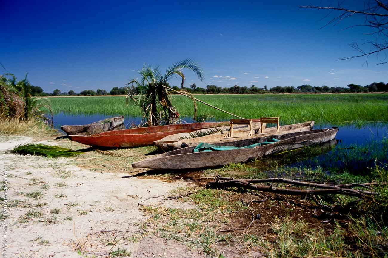 Dug out canoes or makoros at the Okavango delta in Botswana