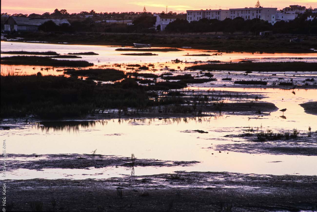Coastal marshland at dusk near Faro in Southern Portugal
