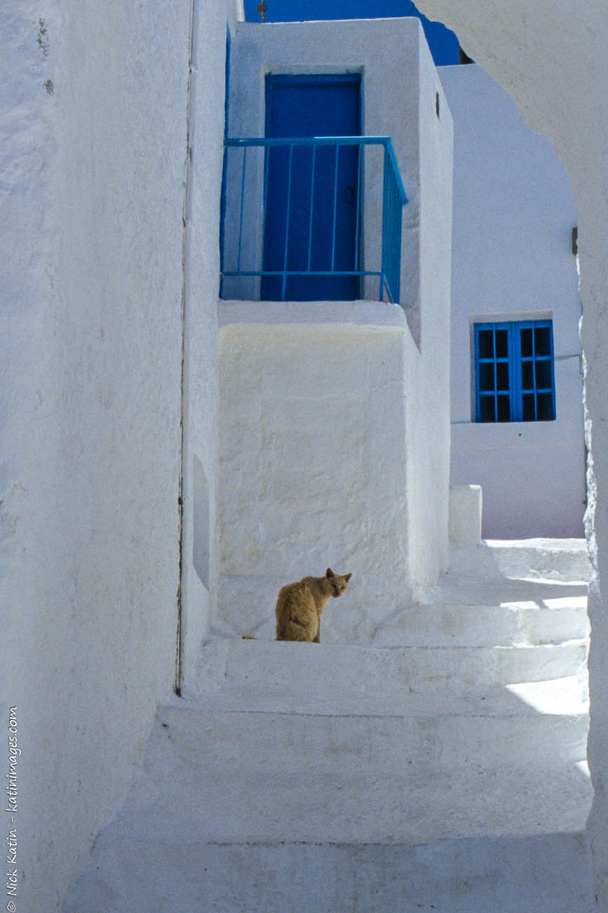 A whitewashed street in Thirasia near Santorini one of the famous Greek Islands