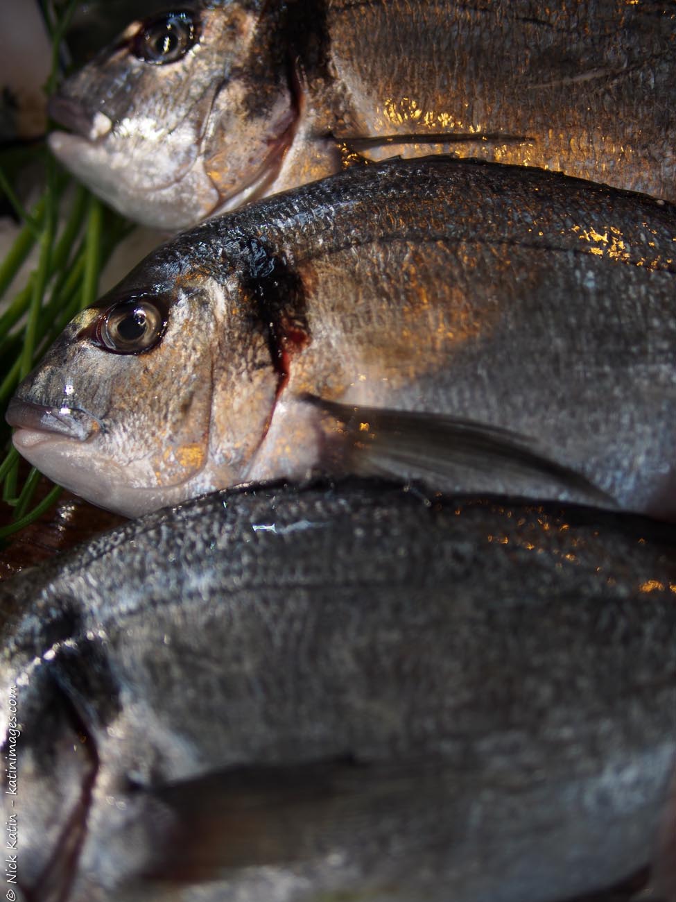 Fish at one of London's famous markets, Borough Markets which is devoted entirely to food.
