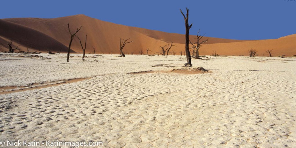 Deadvlei is a white clay pan located near the more famous salt pan of Sossusvlei, inside the Namib-Naukluft Park in Namibia.