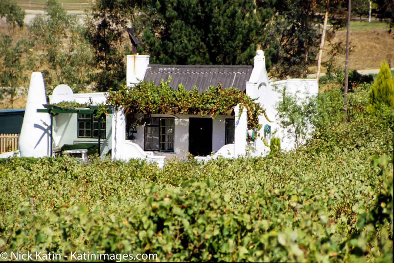 A small winery near Stellenbosch beneath the Stellenbosch Mountains