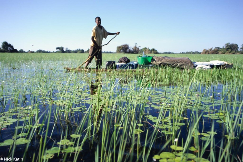 Young Poler on a makoro (canoe) in the Okavango delta, Botswana
