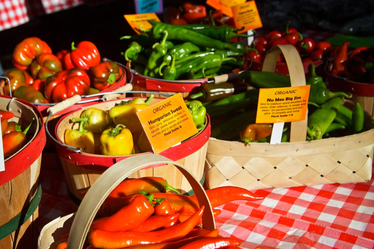 Why the use of Still and Video images are the most valuable marketing strategy of 2017