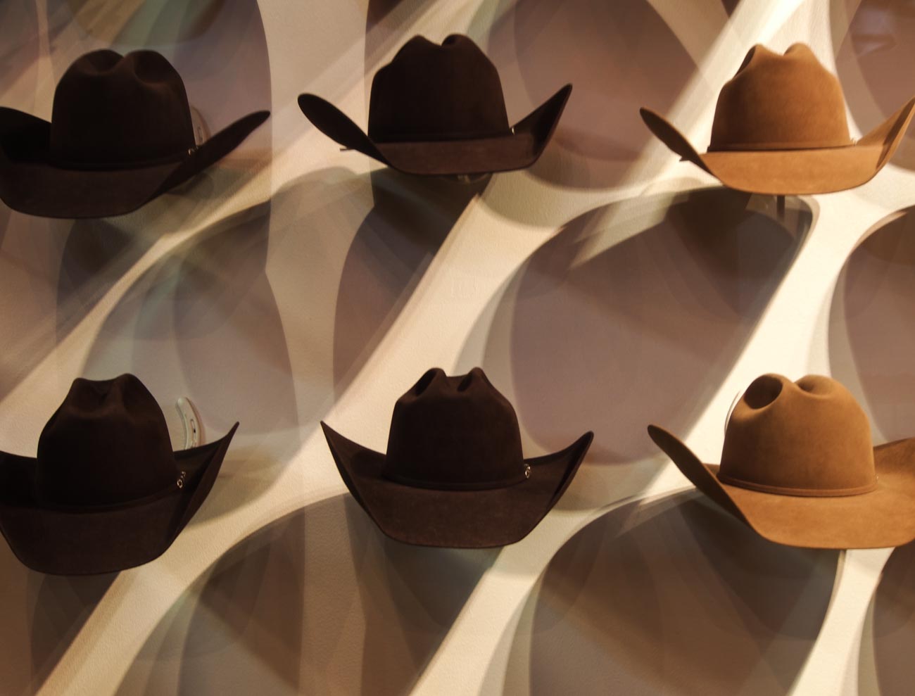 10 Vital Facts about Camera Shutter Speed