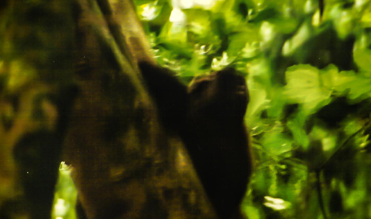 7 ways good photography equipment can help you create great marketing images