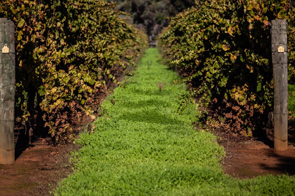 How to get ahead of your competition? Get good&nbsp;images