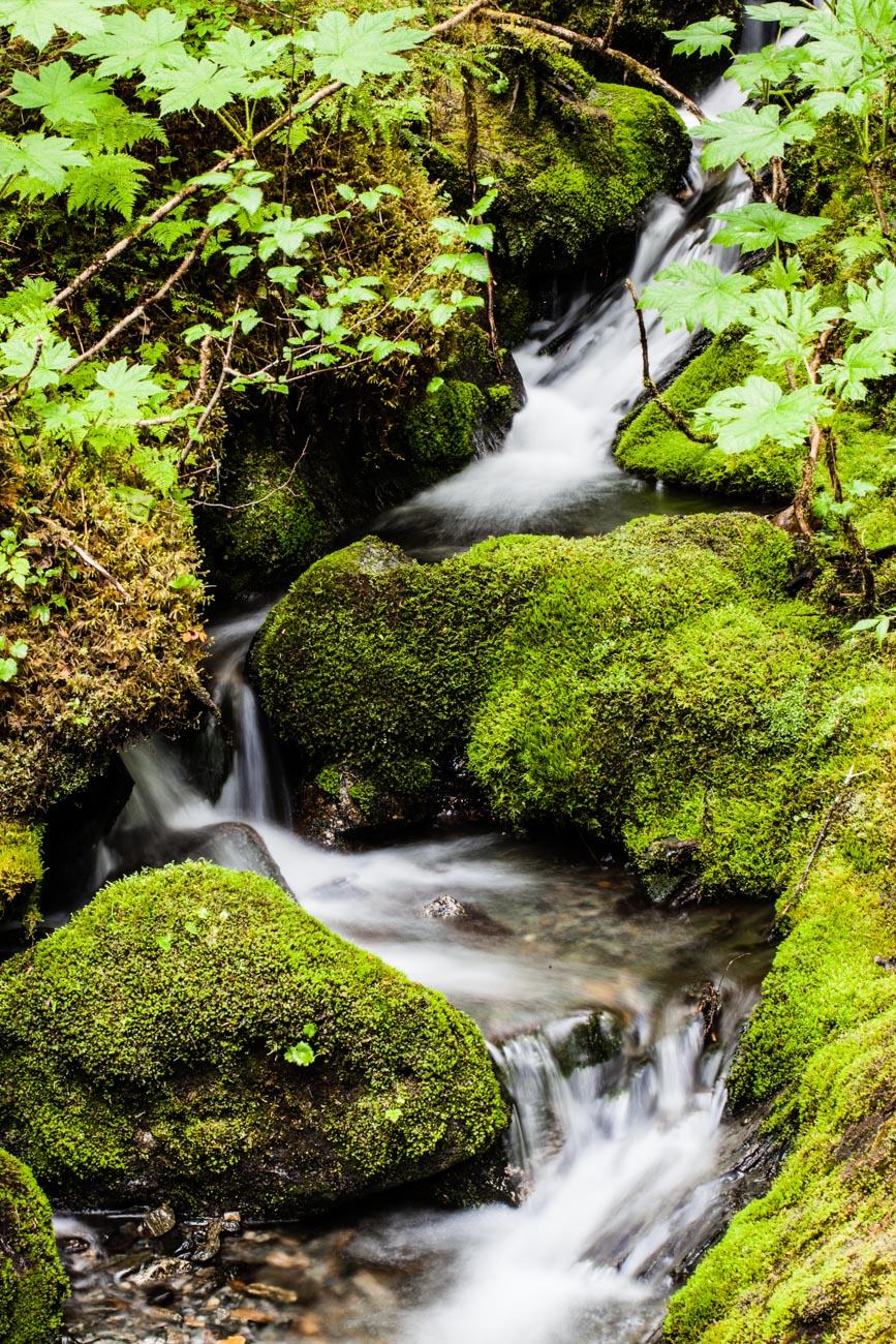 10 Vital Facts about Camera Shutter Speed