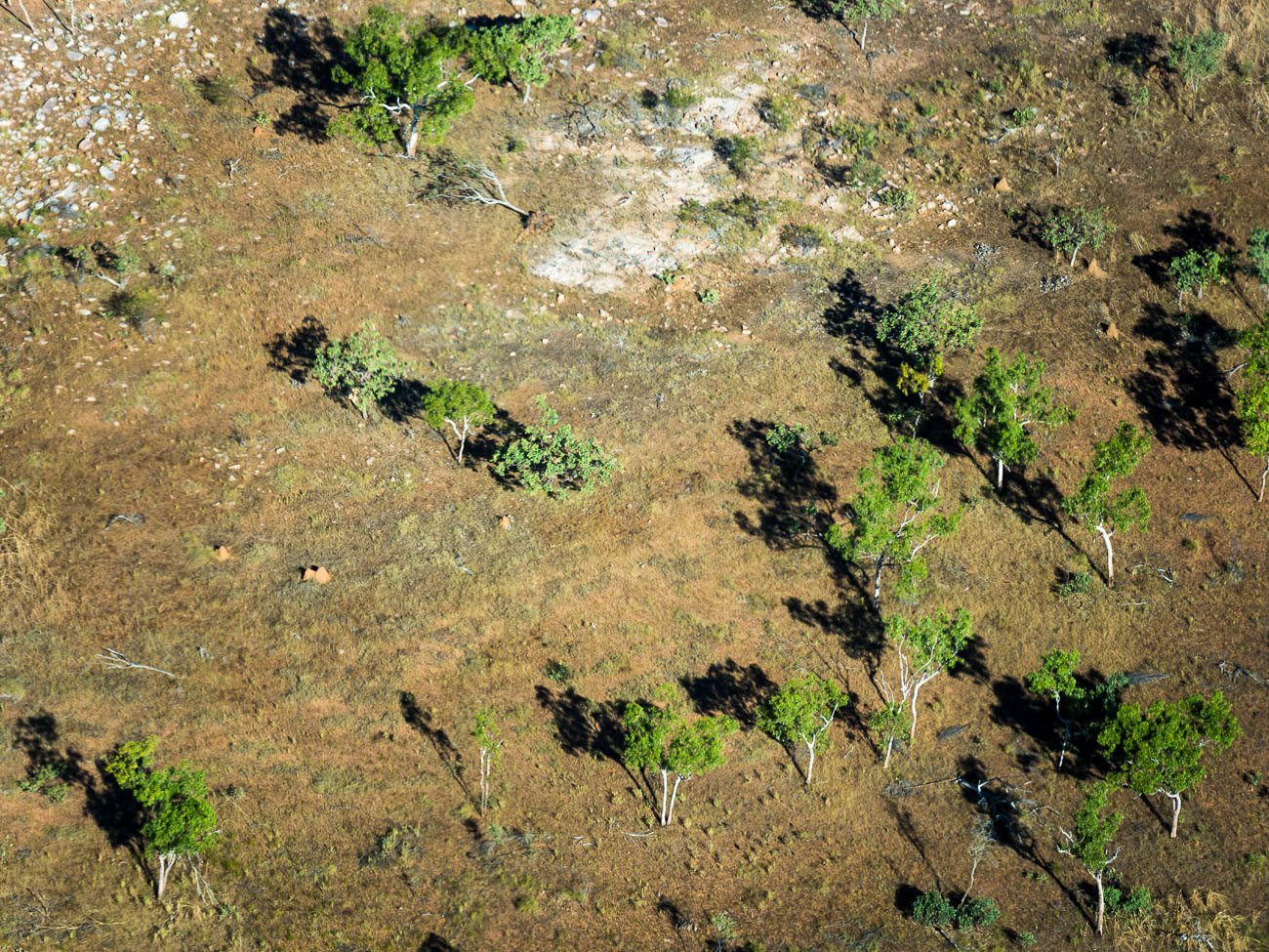 Near Berkley River in the Kimberleys Western Australia, from the air