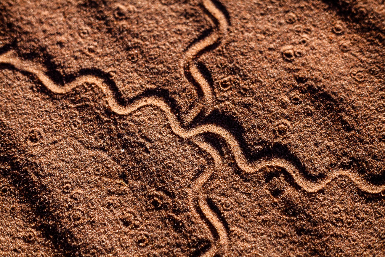 Sand trails near Roebuck bay, Broome, Western Australia