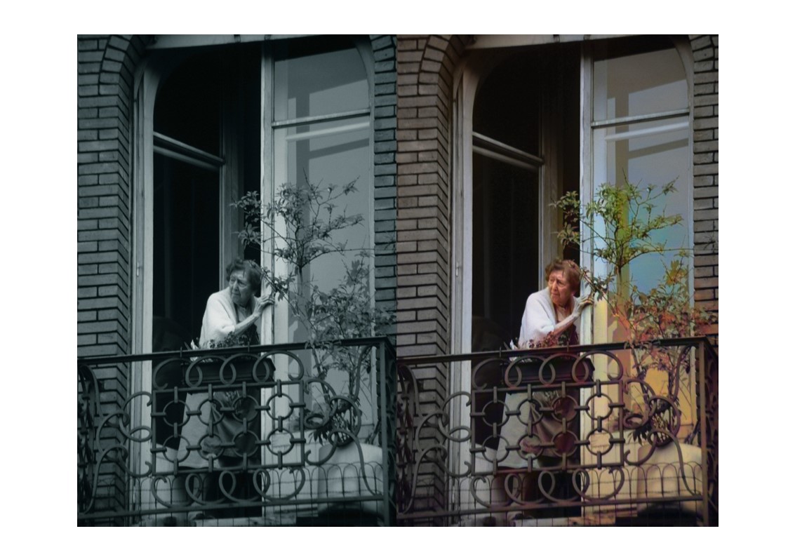 ColorSurprise AI Katin Images