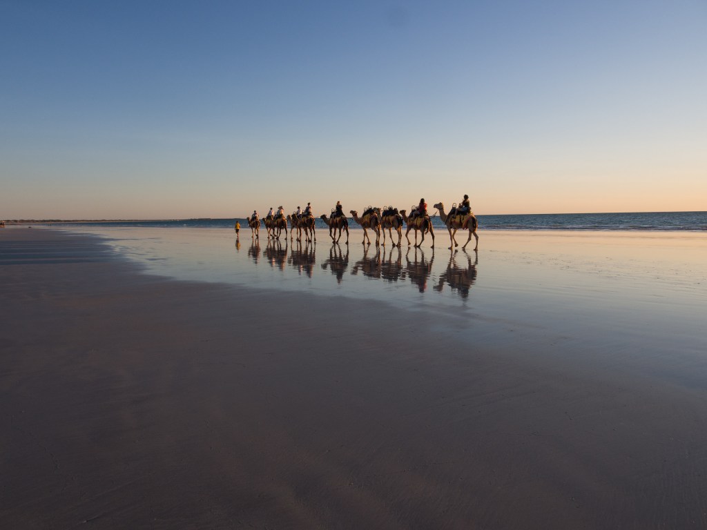 Camel Ride on Cable&nbsp;Beach.