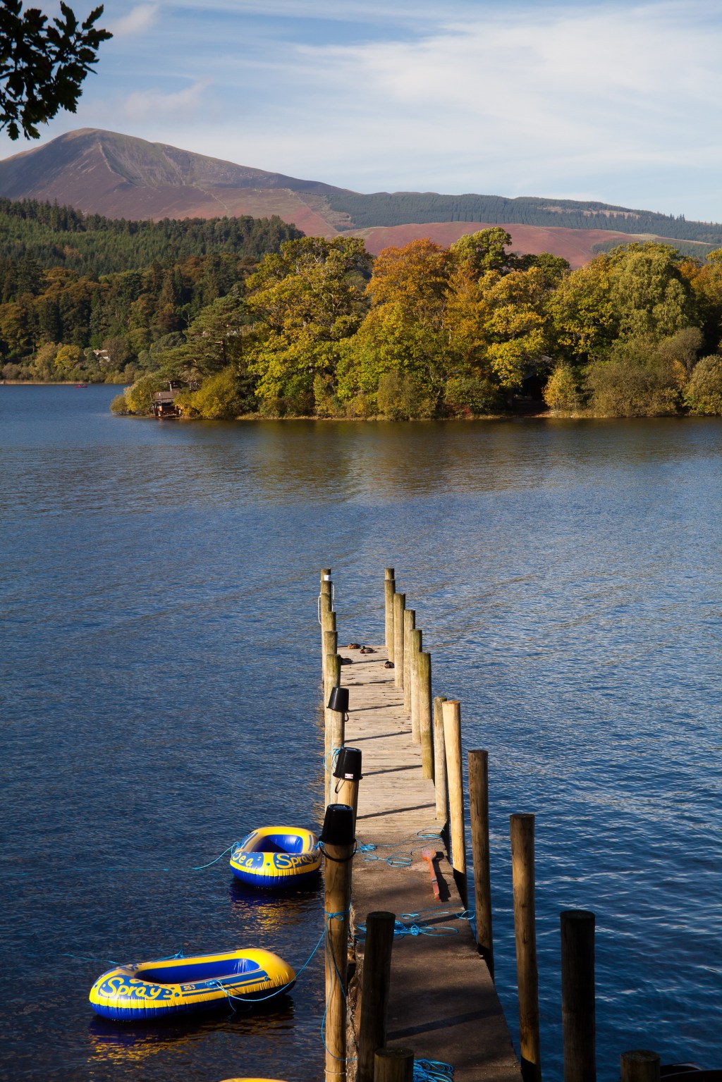 Backup Camera Memory Cards with just a&nbsp;Smartphone