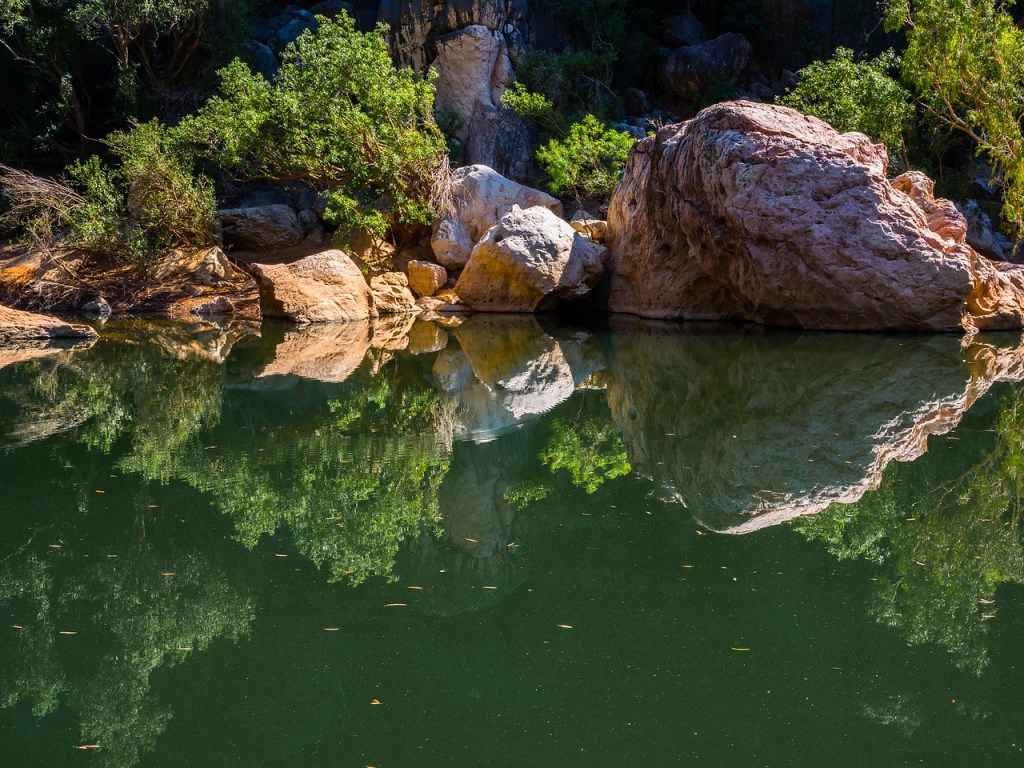 Pool at Windjana&nbsp;Gorge