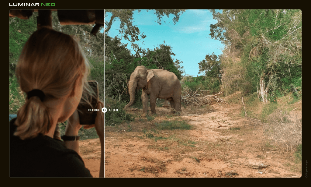 AI and the Future of Editing Software with&nbsp;Neo