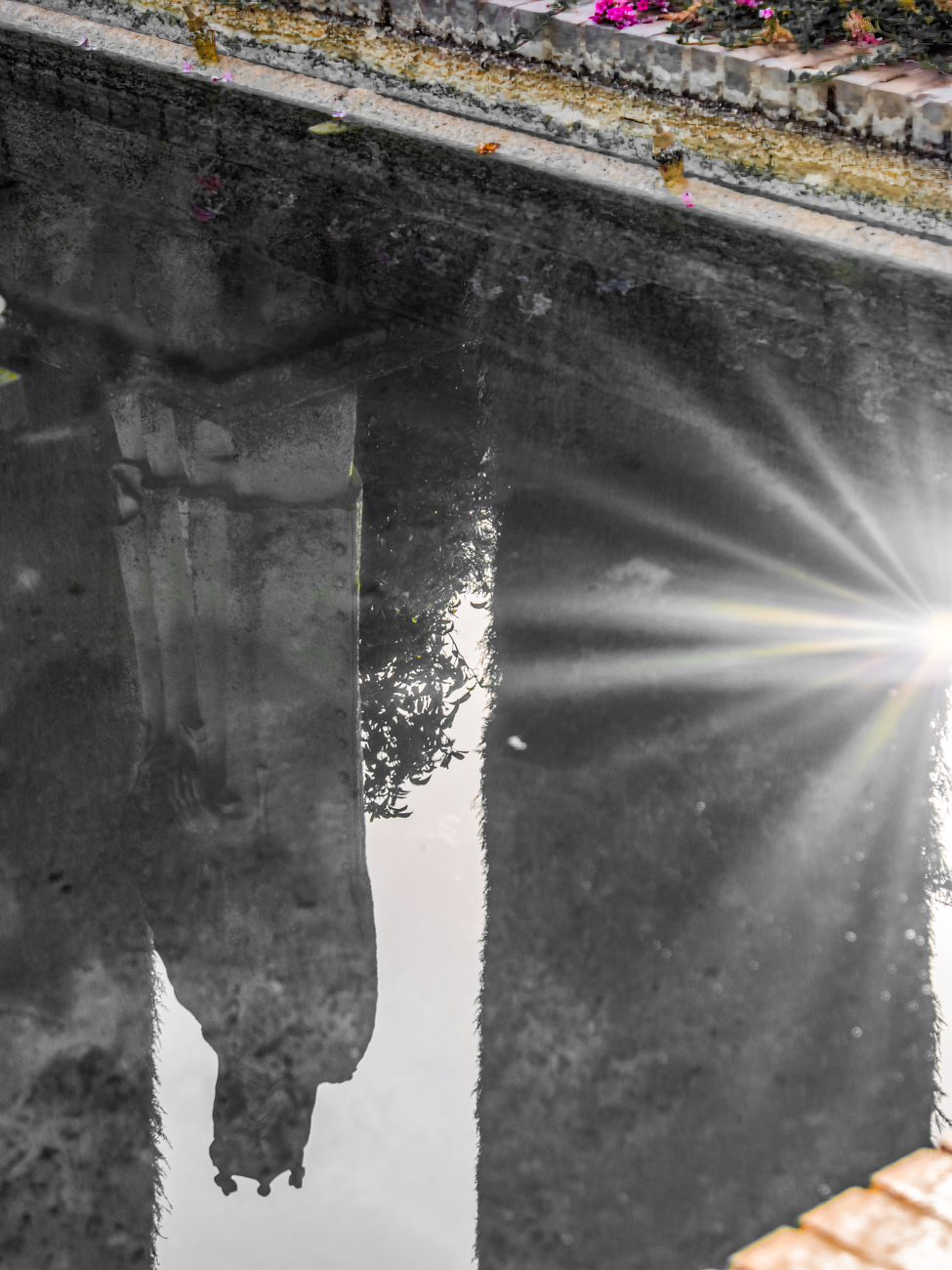 Statue Reflections from the&nbsp;Alcazar